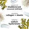 Mario Badescu Seaweed Night Cream for Women Anti Aging Oil-Free Moisturizer with Collagen & Sodium Hyaluronate, Ideal for Combination, Oily or Sensitive Skin, Moisturizes & Smooths Skin, 1 Fl Oz view 4