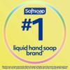 Softsoap Antibacterial Liquid Hand Soap, Fresh Citrus Scent Hand Soap, 11.25 Ounce, 6 Pack view 3