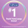 Softsoap Antibacterial Liquid Hand Soap, White Tea & Berry Scent Hand Soap, 11.25 Ounce, 6 Pack view 4