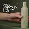 Aveda Pure Abundance Volumizing Shampoo | Adds Volume to Fine Hair | with Kaolin Clay, 33.8 Fl Oz view 2
