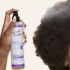 Carol's Daughter Black Vanilla Leave In Conditioner for Curly, Wavy or Natural Hair, Moisturizing Hair Care for Dry, Dull or Brittle Split Ends, 8 Fl Oz view 3