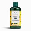 The Body Shop Mango Shower Gel Regular, 8.4 Fluid Ounce (Packaging May Vary) view 1