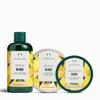 The Body Shop Mango Shower Gel Regular, 8.4 Fluid Ounce (Packaging May Vary) view 4