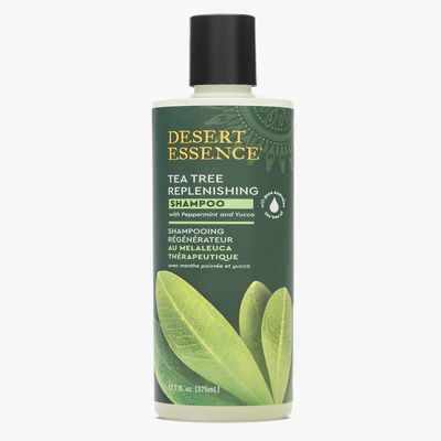 Desert Essence Tea Tree Daily Replenishing Shampoo, 12 Ounce - 6 per case.