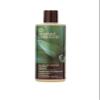 Desert Essence Shampoo, Tea Tree Replenishing Shampoo, 12.9 - Ounces (Pack of 3) view 1