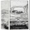 Diptyque Philosykos Body Lotion-6.8 oz. view 2