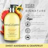 Baylis & Harding Liquid Hand Soap Wash with Dispenser, Sweet Mandarin & Grapefruit, 16.9oz/500ml view 2