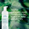 Aveda Outer Peace Foaming Cleanser | Daily Face Cleanser for Acne-Prone Skin | with Powerful Plant Extracts, 4.2 Fl Oz view 2