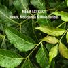 SUNDARI Neem Eye Cream, 0.5 Fl Oz, Lightweight Under Eye Cream, Reduces Puffiness, Dark Circles & Firms Delicate Skin, Nourishing and Soothing view 4