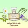 SUNDARI Nighttime Nourishing Oil, 0.5 Fl Oz, Ayurvedic Face Oil, Deep Hydration, Reduces Fine Lines, Revitalizes Skin for a Youthful Glow view 2