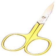 Pointed Nail Scissors