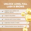 Clinical Effects: Lash & Brows Serum - Growth Serum for Eyelashes and Brows - 1 bottle - 0.1 oz - Support Growth and Thickness within 4 Weeks - Safe and Effective Formula for Rapid Results view 3
