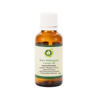 R V Essential Pure Malkangani Carrier Oil 50ml (1.69oz)- Celastrus Paniculatus (100% Pure and Natural Cold Pressed)