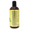 PURA D'OR 16 Oz Advanced Therapy Shampoo Reduces Hair Thinning & Increases Volume, No Sulfate, Biotin Shampoo Infused with Argan Oil, Aloe Vera for All Hair Types, Men & Women view 3