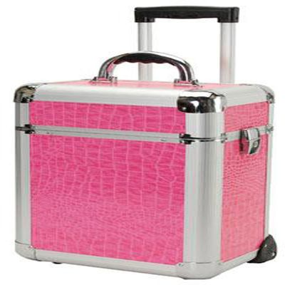 Miniature Professional Rolling Beauty Case