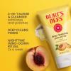 Burt's Bees Deep Cleansing Pore Scrub with Peach and Willow Bark, 4 Ounces, Pack of 3 view 3