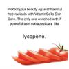 Ecco Bella Night Rebuilder Anti-Aging Liposomes Cream view 4