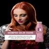 Salon In Recamier Color Guard Pro Shampoo  Enhances & Protects Colored Hair, 10.1 Fl Oz view 2