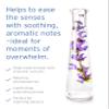 Kerstin Florian Organic Calm Mind Aromatherapy Oil | With Lavender | Peppermint and Cajeput (.5 fl oz) view 3