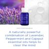 Kerstin Florian Organic Calm Mind Aromatherapy Oil | With Lavender | Peppermint and Cajeput (.5 fl oz) view 4