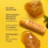 Burt's Bees Beeswax Lip Balm with Vitamin E & Peppermint, 0.15 Oz view 2