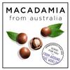 Hask Vials Macadamia Oil Shine Treatment, 0.62 Fl Oz (Pack of 12) view 4