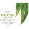 Noxzema Classic Clean Cleanser Original Deep Cleansing, Eucalyptus,Original - 12 Oz (Pack of 6) view 4
