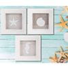 Aliceva SS-BCS-02710 Home Decor Accents, 6.25, Off White (Pack of 3) view 2