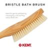 Kent FD10 Ashwood Back Scrubber for Shower Bath Brush and Body Scrubber Exfoliator - Boar Bristle Shower Brush for Body for Men and Women - Kent Brush Back Scrubbers for Use in Shower Made in England view 3