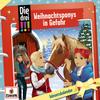 Adventskalender/Weihnachtsponys in Gefahr view 1