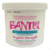 Bantu No Base Relaxer Regular Strength 15oz view 1