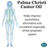 Baar Castor Oil Packs Kit: Heating Pad with Auto Shut Off; Cold Pressed, Cold Processed, Hexane Free, Palma Christi Castor Oil; Reusable, Unbleached Wool Flannel Cloth; & Disposable Castor Oil Packs view 3