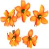 2" Tropical Orange Lily 5 Piece Lot Silk Flower Hair Clips view 1