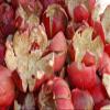 FOODHERBS Pomegranate Peel Powder | 200 Gms / 0.44 Lbs | Anar | Punica Grantum view 2