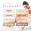 Dry Brushing Body Brush - Best for Exfoliating Dry Skin, Lymphatic Drainage and Cellulite Treatment - Organic Spa Exfoliation and Massage Scrub Brush with Natural Boar Bristles view 4