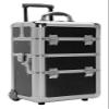 Beauty Case with Movable Dividers and Deep Well Bottom Finish: Black Hole view 2