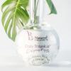 Be Natural Organics Daily Botanical Enzyme Peel 4 Oz (120 ml) view 4