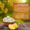 Plant Guru Raw Mango Butter 32 oz. / 2 lbs. Bulk - 100% Pure Natural Unrefined - Great for Skin, Body and Hair Growth. DIY Soap Making, Body Butter, Lotions and Creams. view 3