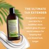 Just Nutritive Indoor Tanning Lotion | Natural Tanning Bed Moisturizer to Accelerate, Extend & Maintain Tan | With Aloe, Coffee, Papaya & Vitamin E | Non-Bronzing Formula | 8 Fl Oz view 3