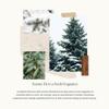 Thymes Hand Lotion - 8.25 Fl Oz - Frasier Fir view 3