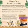 African Shea Butter Raw Unrefined 100% Pure Natural Organic Ivory Grade A - 4 oz - DIY Body Butters, Lotion, Cream, lip Balm & Soap Making Supplies, Eczema & Psoriasis Aid, Stretch Mark Product view 4