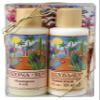 Arizona Sun - 4 oz Gift Set Bath and Sun - Skincare - Skin Care Idea  Soothing  Moisturizing  Great Gift For Anyone  Any Occasion  Birthday  Holiday view 1