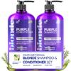 artnaturals Purple Shampoo and Conditioner Set  (2 x 16 Fl Oz / 473ml)  Protects, Balances and Tones  Bleached, Color Treated, Silver, Brassy and Blonde Hair - Sulfate Free view 1