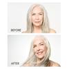 ion Styling Leave In Conditioner Spray, 8 Fl Oz, Dry, Brittle, or Coarse Hair, AntiFrizz, Detangling, Paraben Free view 4