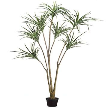 6' Yucca Tree Green Cream (pack of 2)