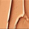 MAC Pro Full Coverage Foundation NC45 view 3