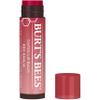 Burt's Bees Lip Tint Balm Valentines Day Gifts with Long Lasting 2 in 1 Duo Tinted Balm Formula, Color Infused with Hydrating Shea Butter for a Natural Buildable Finish, Fiery Red Dahlia (2-Pack) view 1