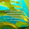 Kerstin Florian Caviar Age-Defense Serum | Anti-Aging & Anti-Wrinkle Facial Serum for All Skin Types | 1 fl oz view 3