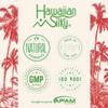 Hawaiian Silky no lye relaxer, regular, White, 20 Ounce view 4