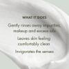 Origins Checks and Balances Frothy Face Wash | Gentle Face Cleanser for All Skin Types | With Mint | Travel Size, 1.7 Fl Oz view 4